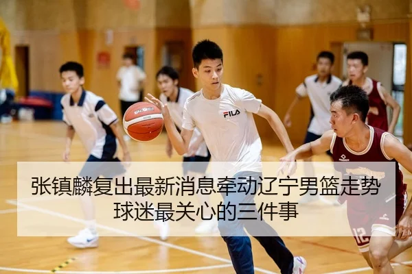 张镇麟复出最新消息牵动辽宁男篮走势球迷最关心的三件事