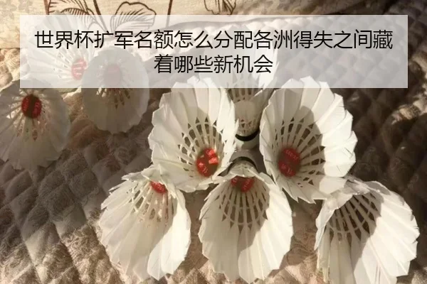 世界杯扩军名额怎么分配各洲得失之间藏着哪些新机会